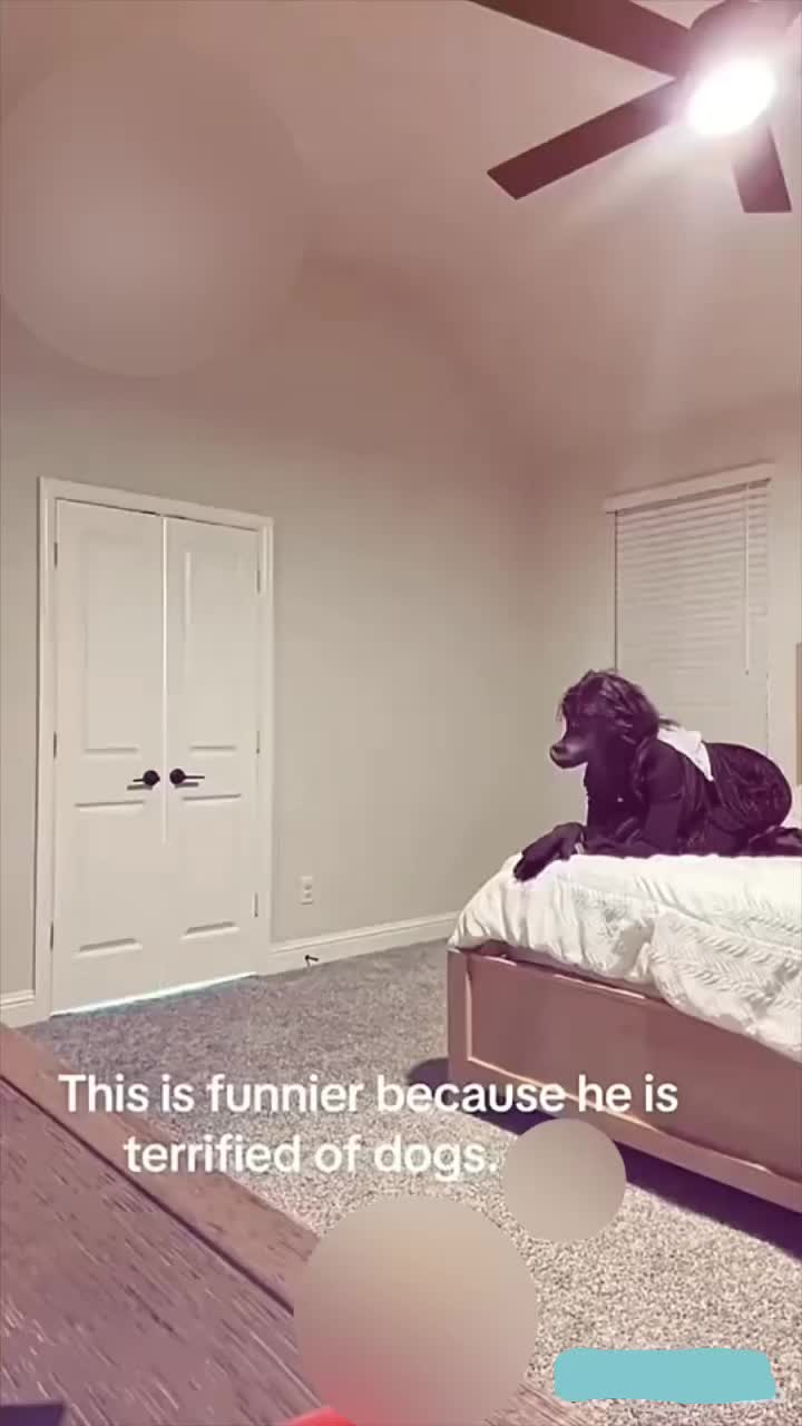 @𝓐𝓵𝓔𝔁𝓲𝓐~𝓐𝓷𝓰𝓮𝓛