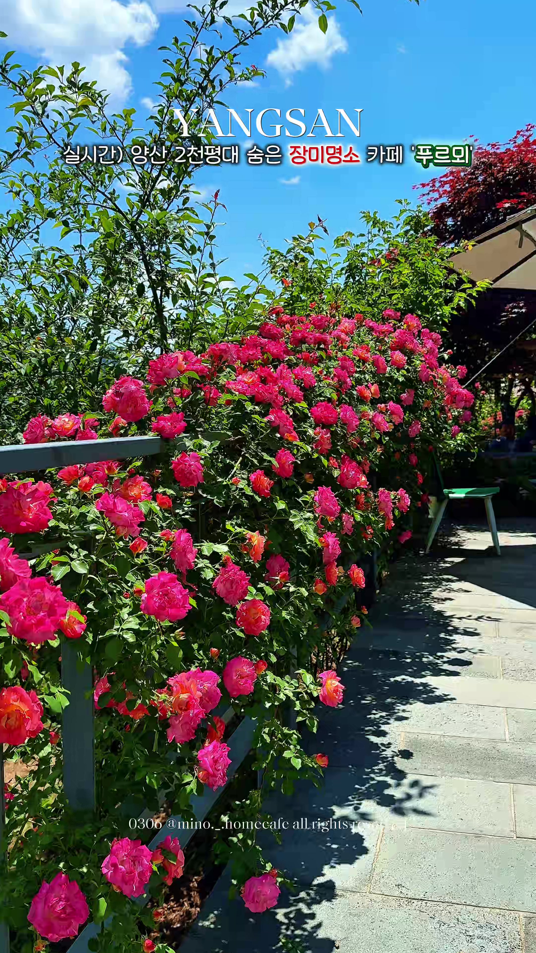 @mino36 미노36