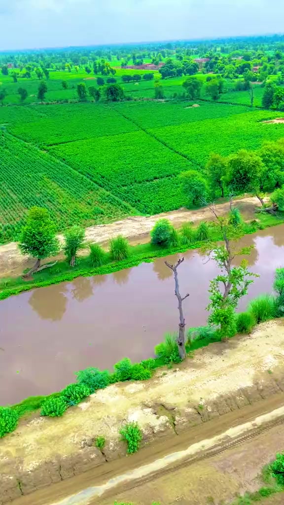 @Usman khan 302🇵🇰🇸🇦🇧🇫