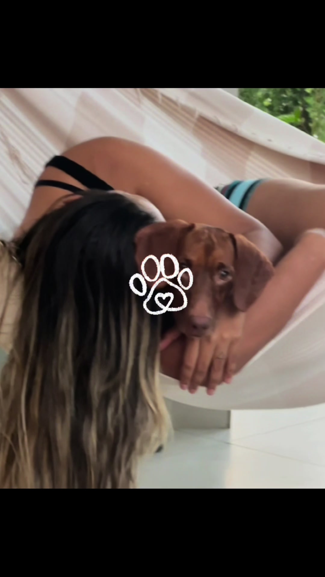@elaenecarvalhoo