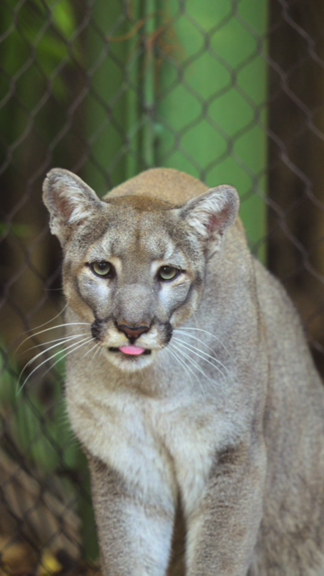 @Palm Beach Zoo