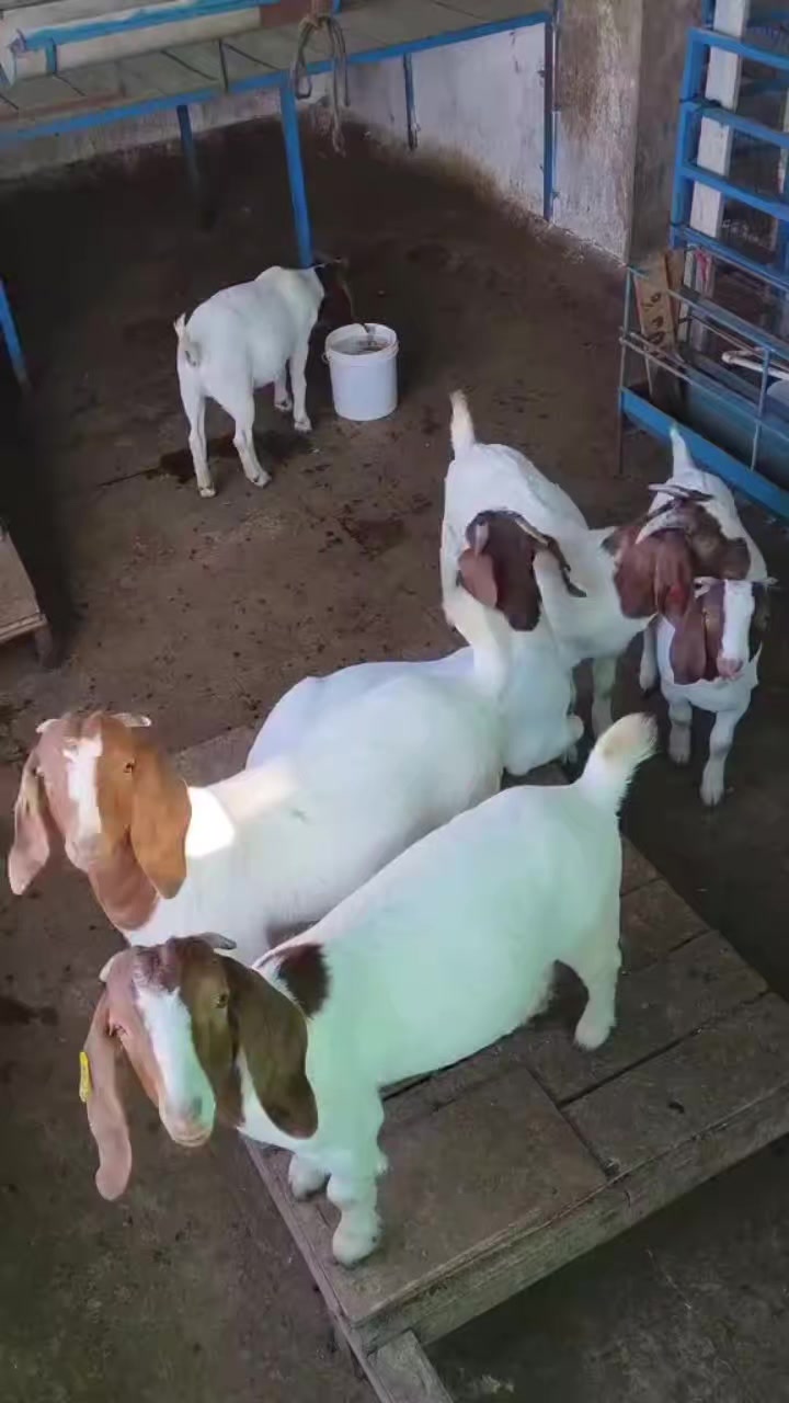 @KENYA FARM NAIVASH 0737434484