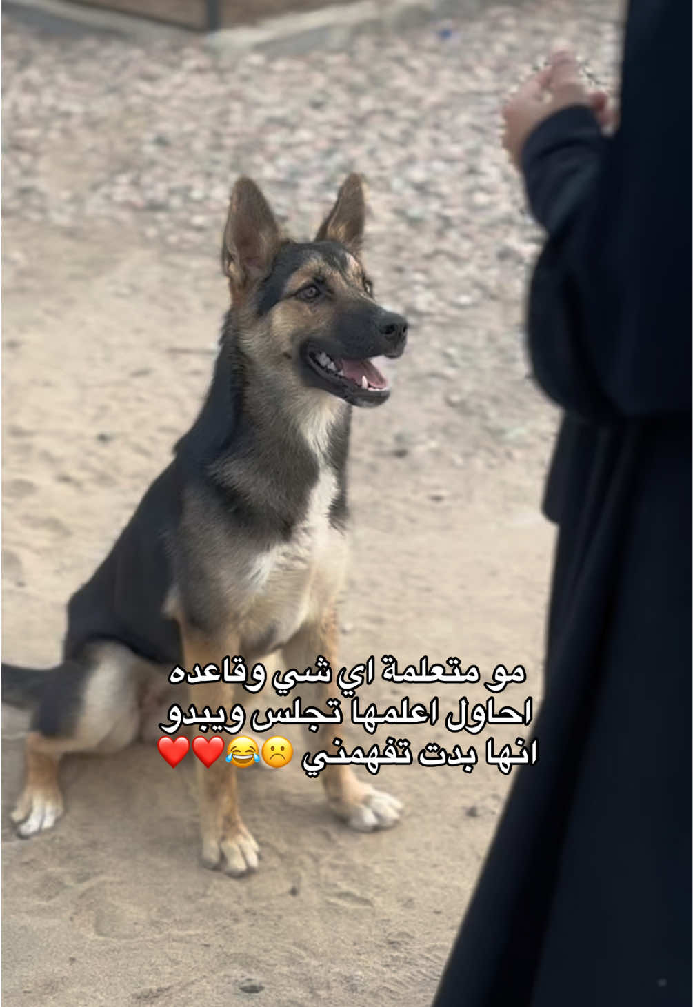 @ميكاسَا العَرب 🌟