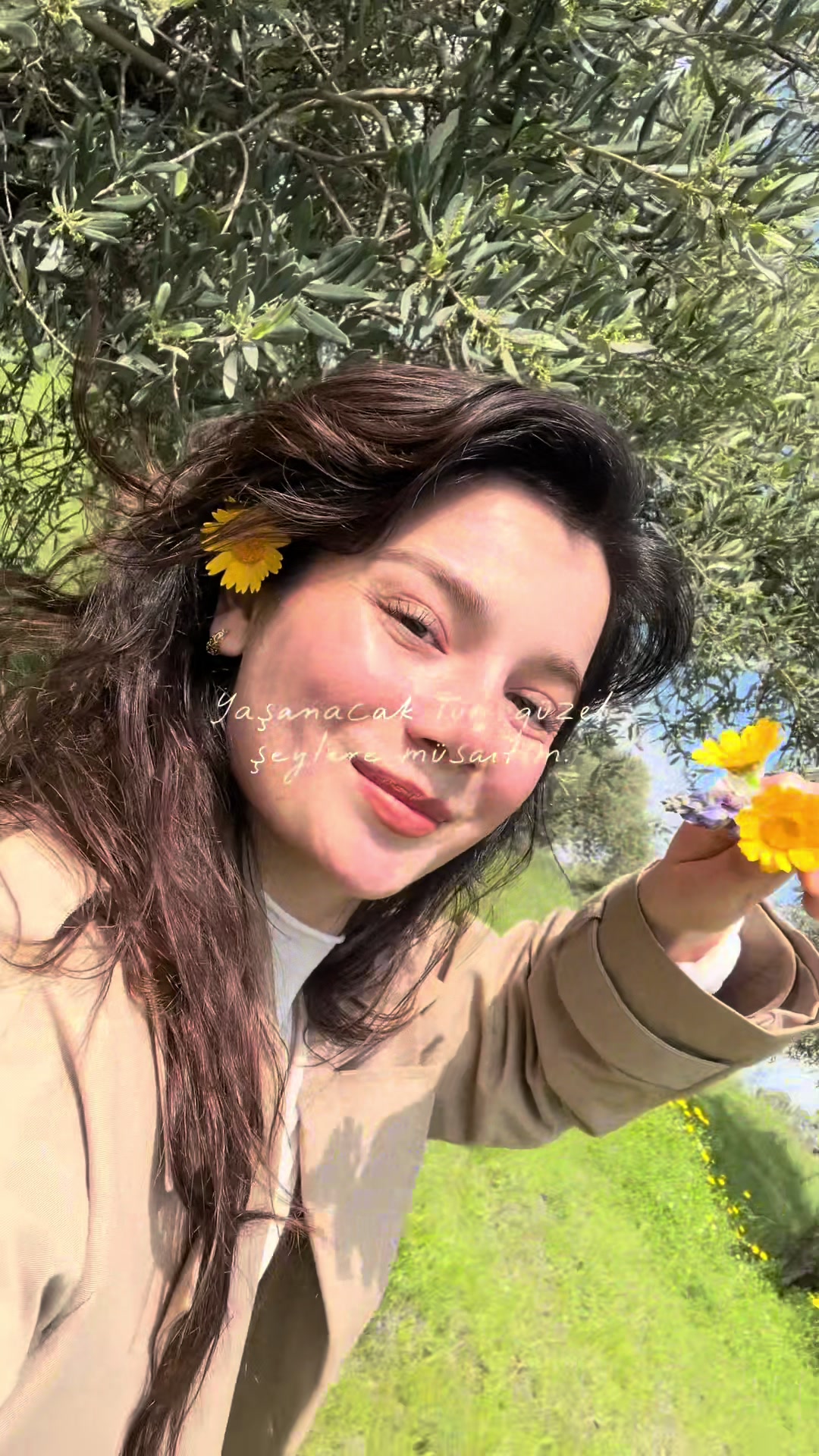 @sulesahnn