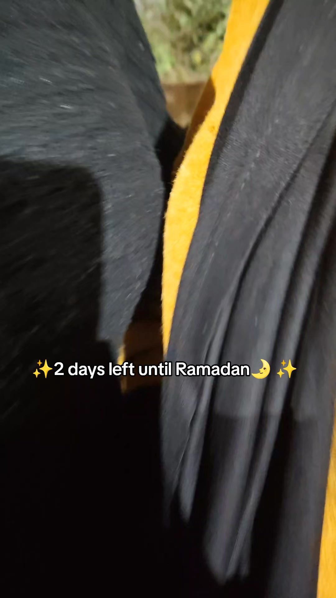 @سيرو🦋