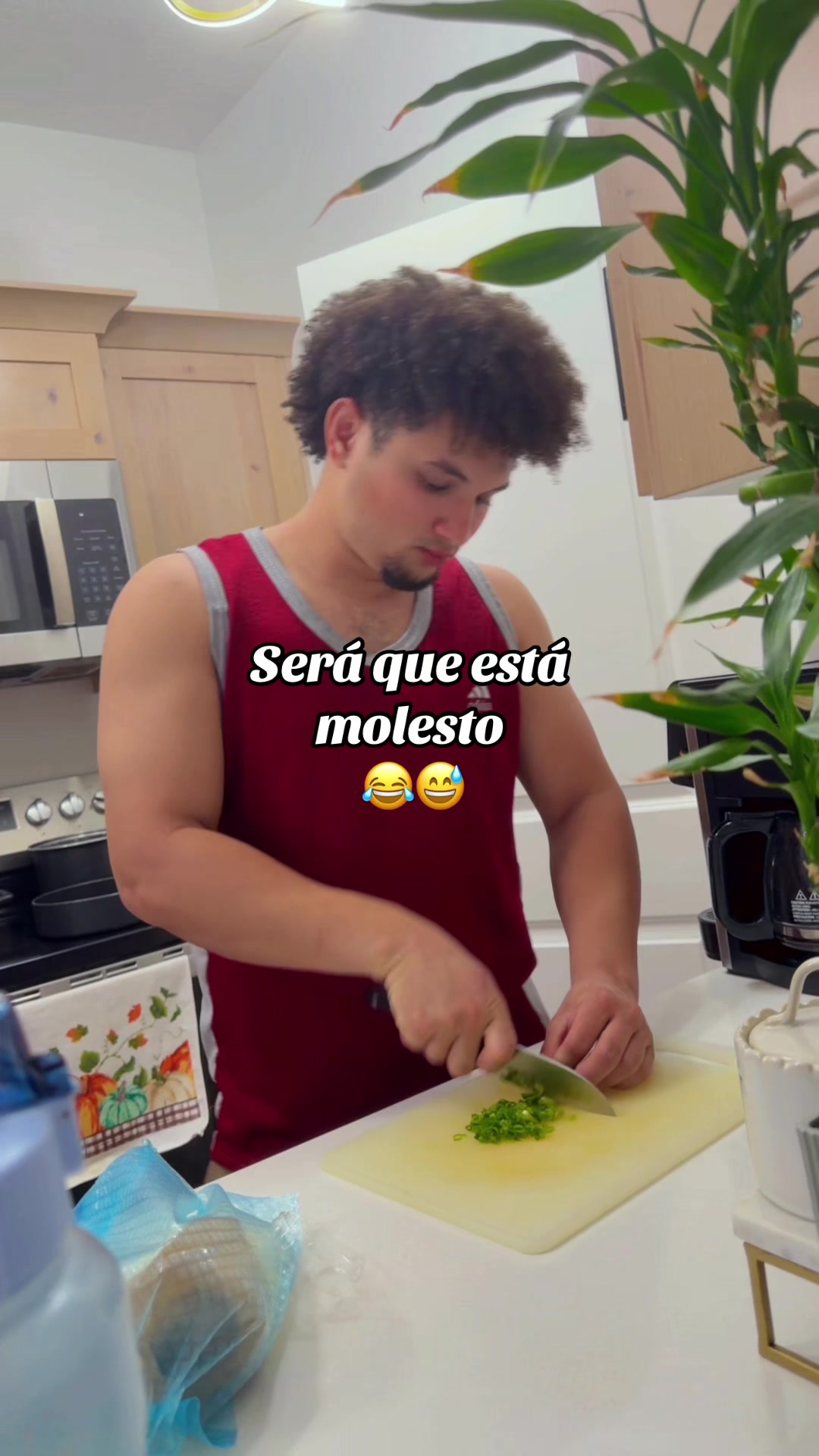 @Lavm Lisbel
