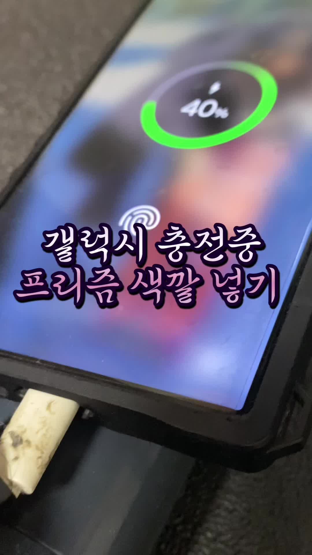 @리리꿀팁모음
