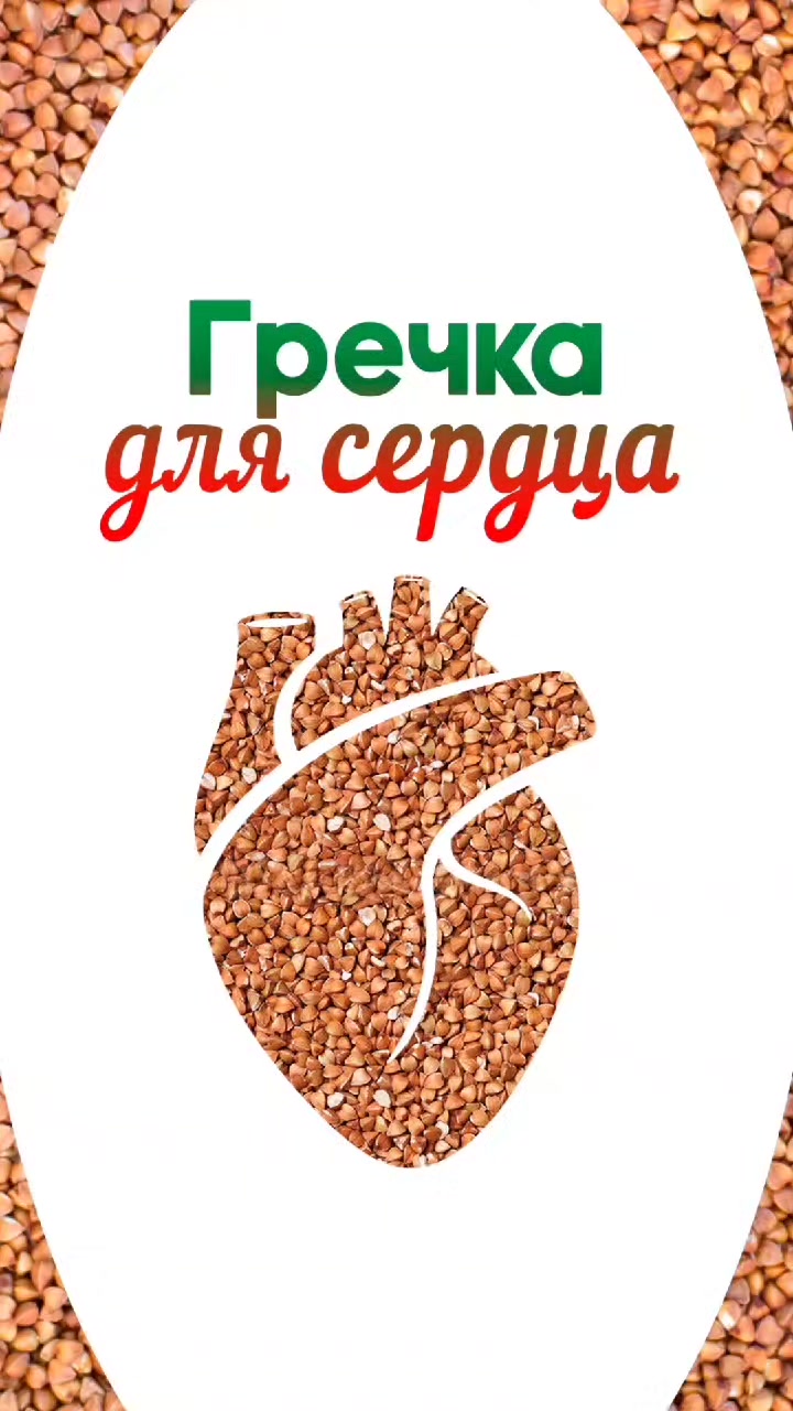 @ЗОЖнавигатор