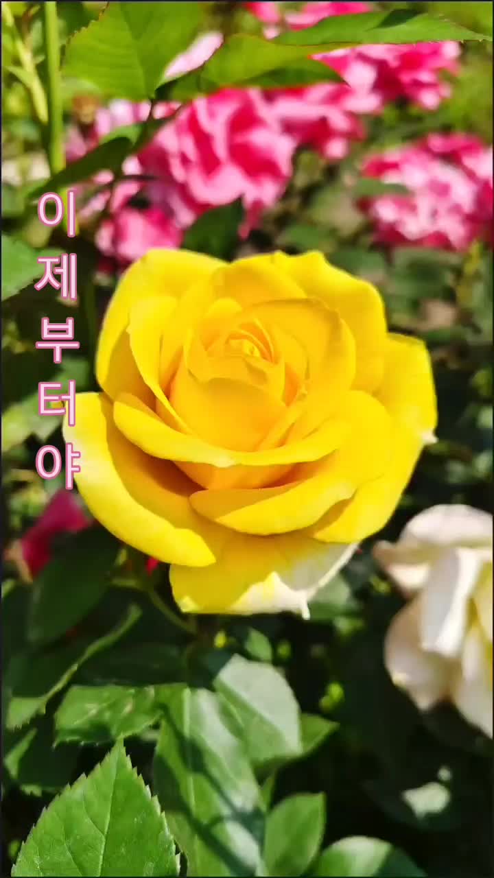 @순순