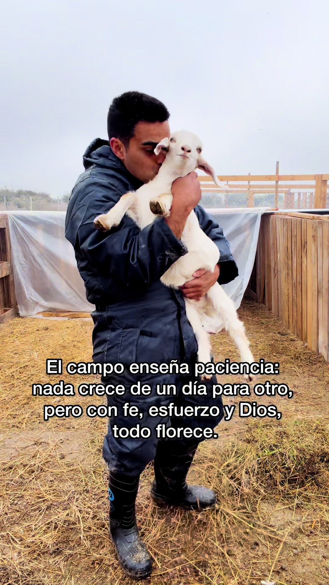 @Felipe miralles Tío Reycar