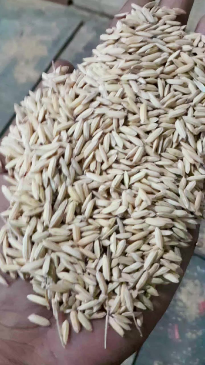@⎠ę§đđŞđđ đđđŁđđđŞđę§âŽ