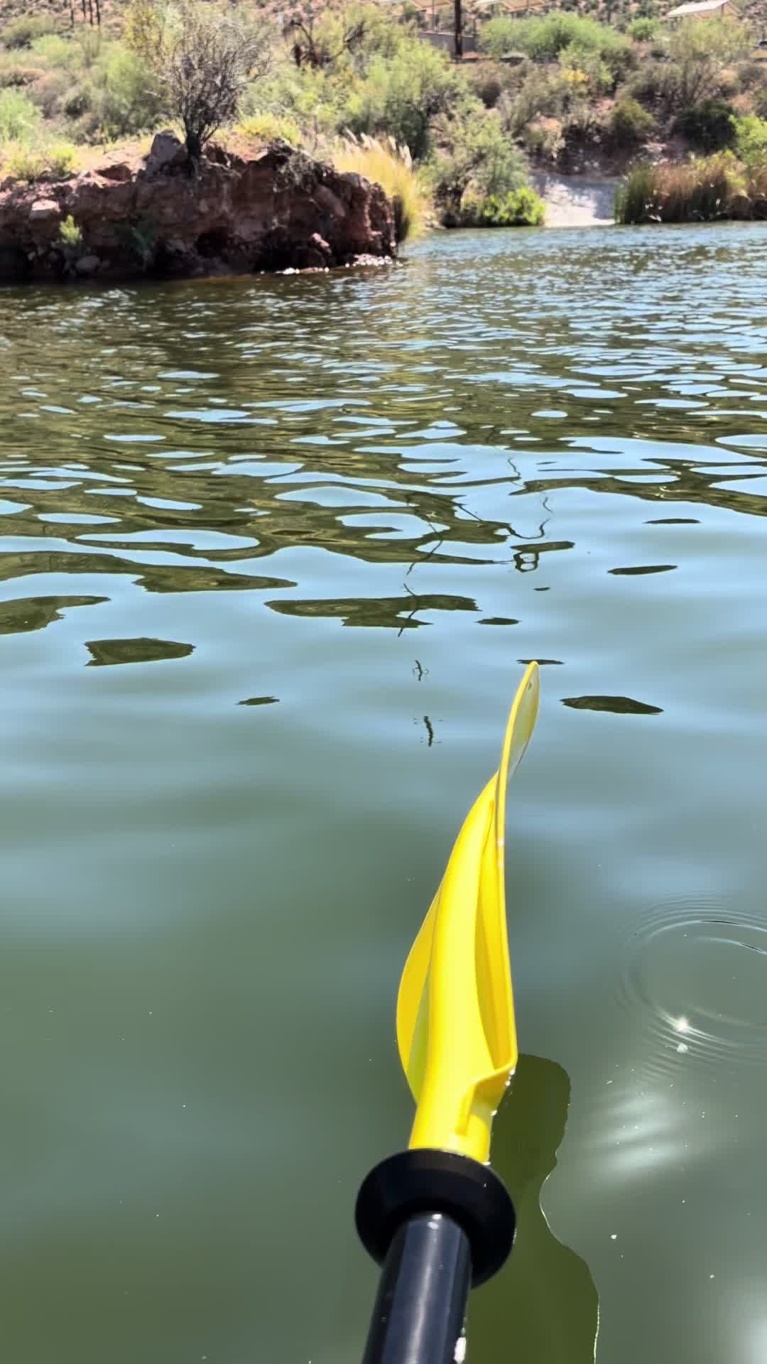 @Lauren