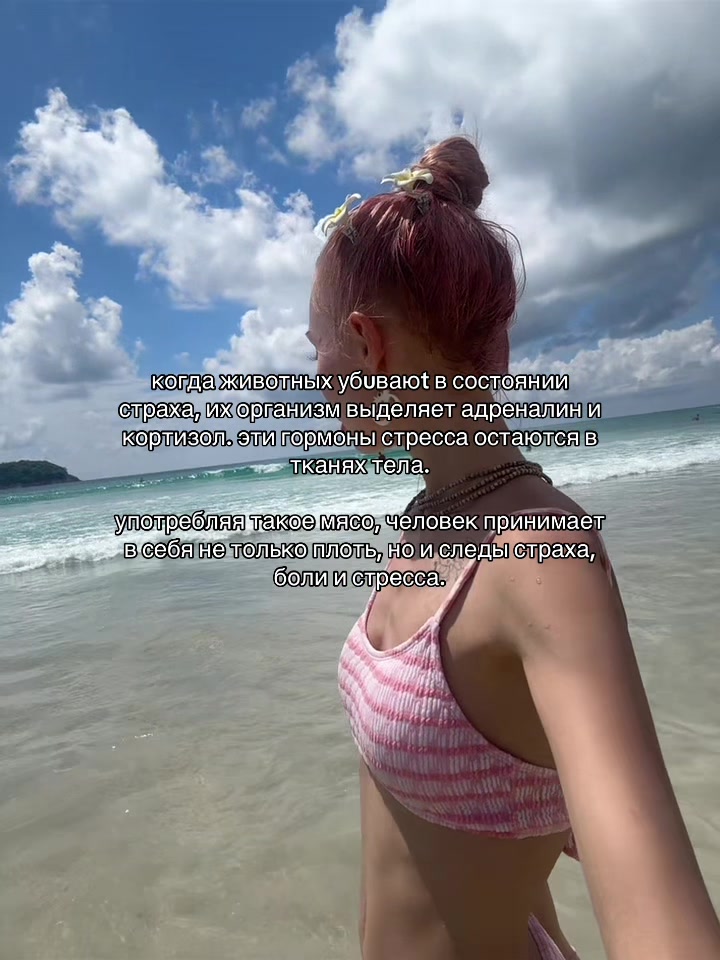 @тгк: латошечка