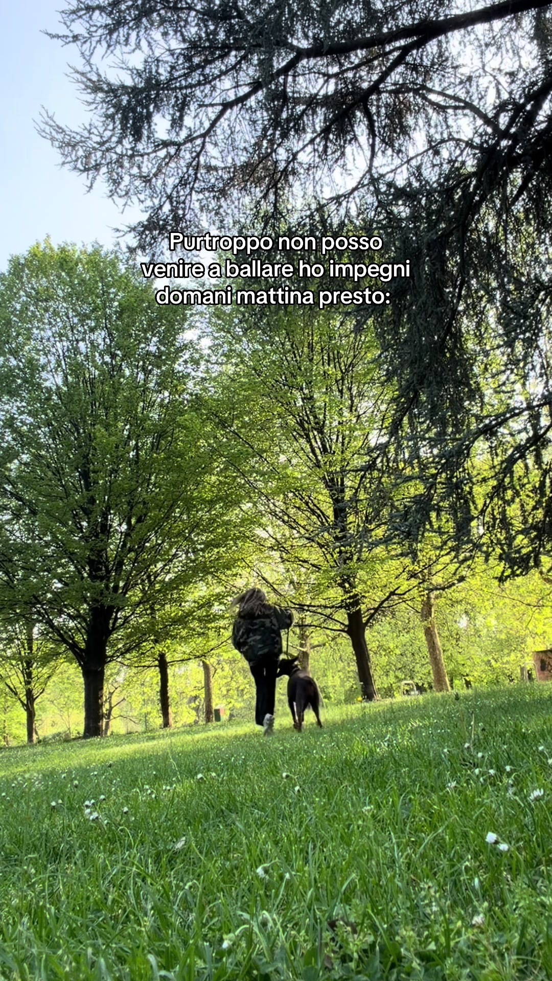 @butterflixstella