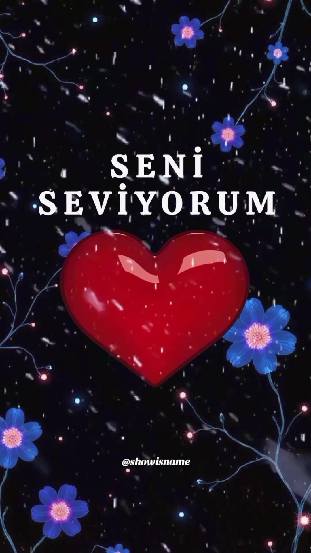 @SHOW İS NAME
