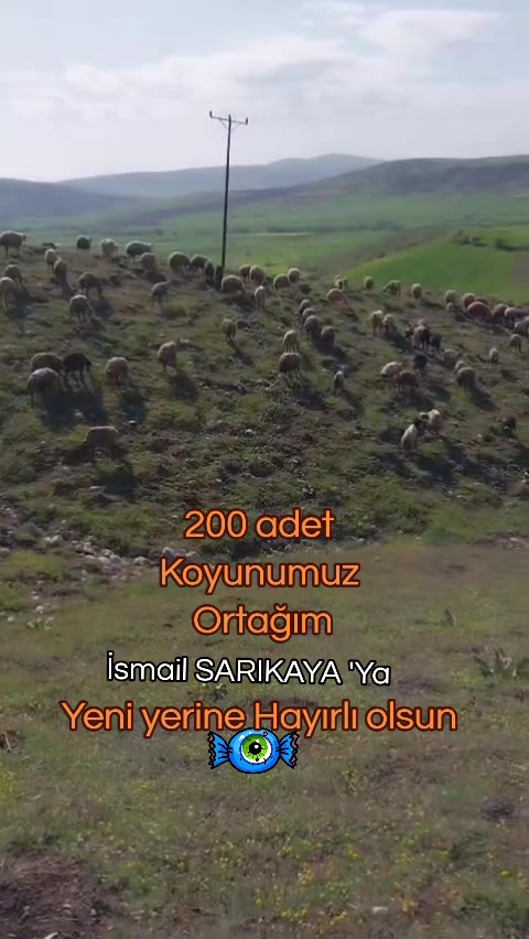 @✎﹏﹏𝐾𝑎𝑑𝑖𝑟 Ş𝑎ℎ&icirc;𝑛﹏﹏