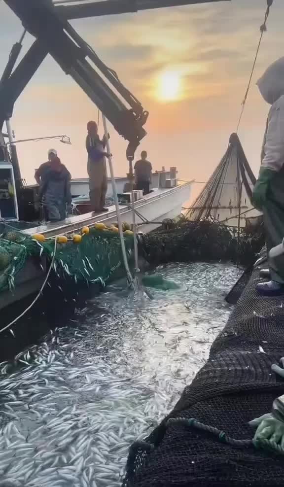 @🛳️h&agrave;m&igrave;d&oslash;⚓⚡R&aelig;ys&euml;🐬🏴&zwj;☠️