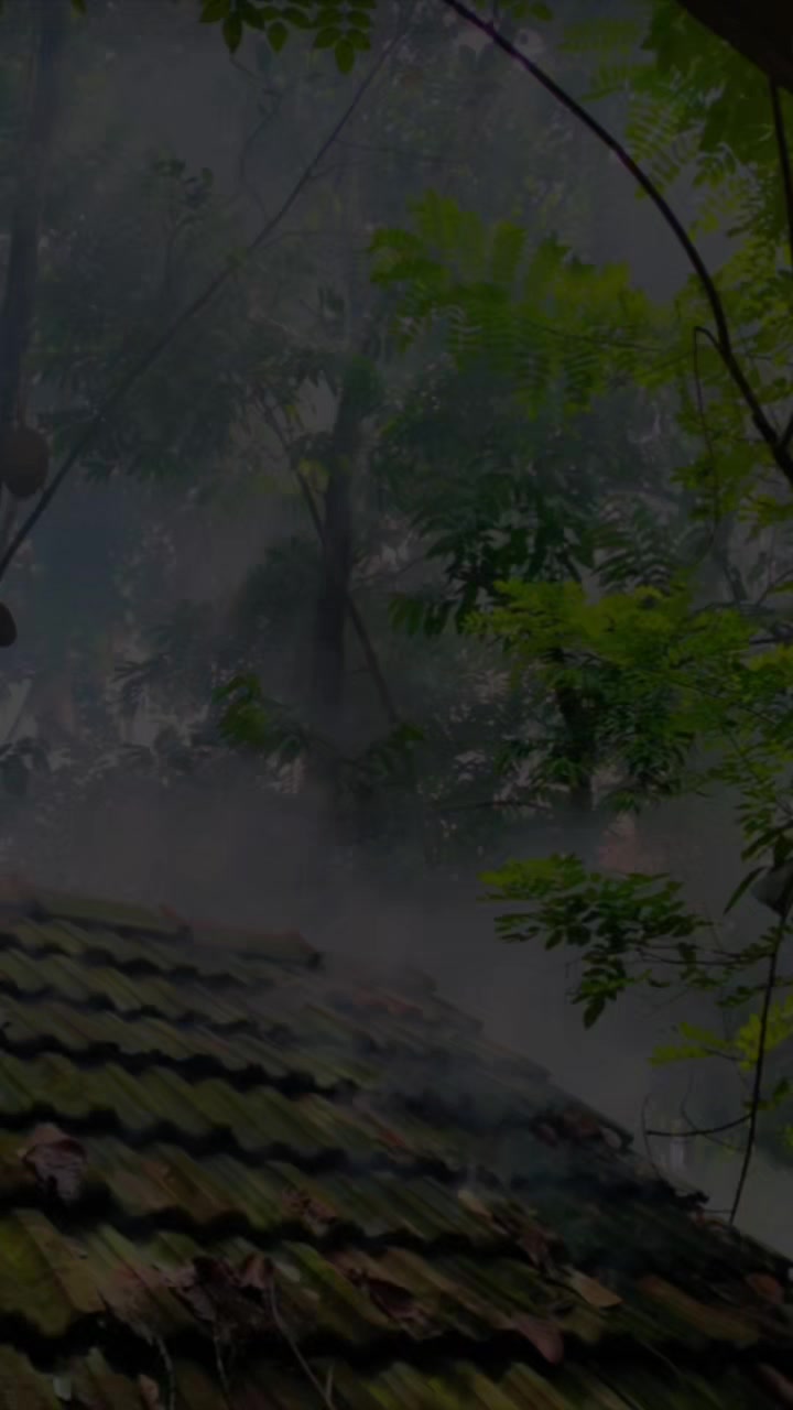 @ചില്ലാലി