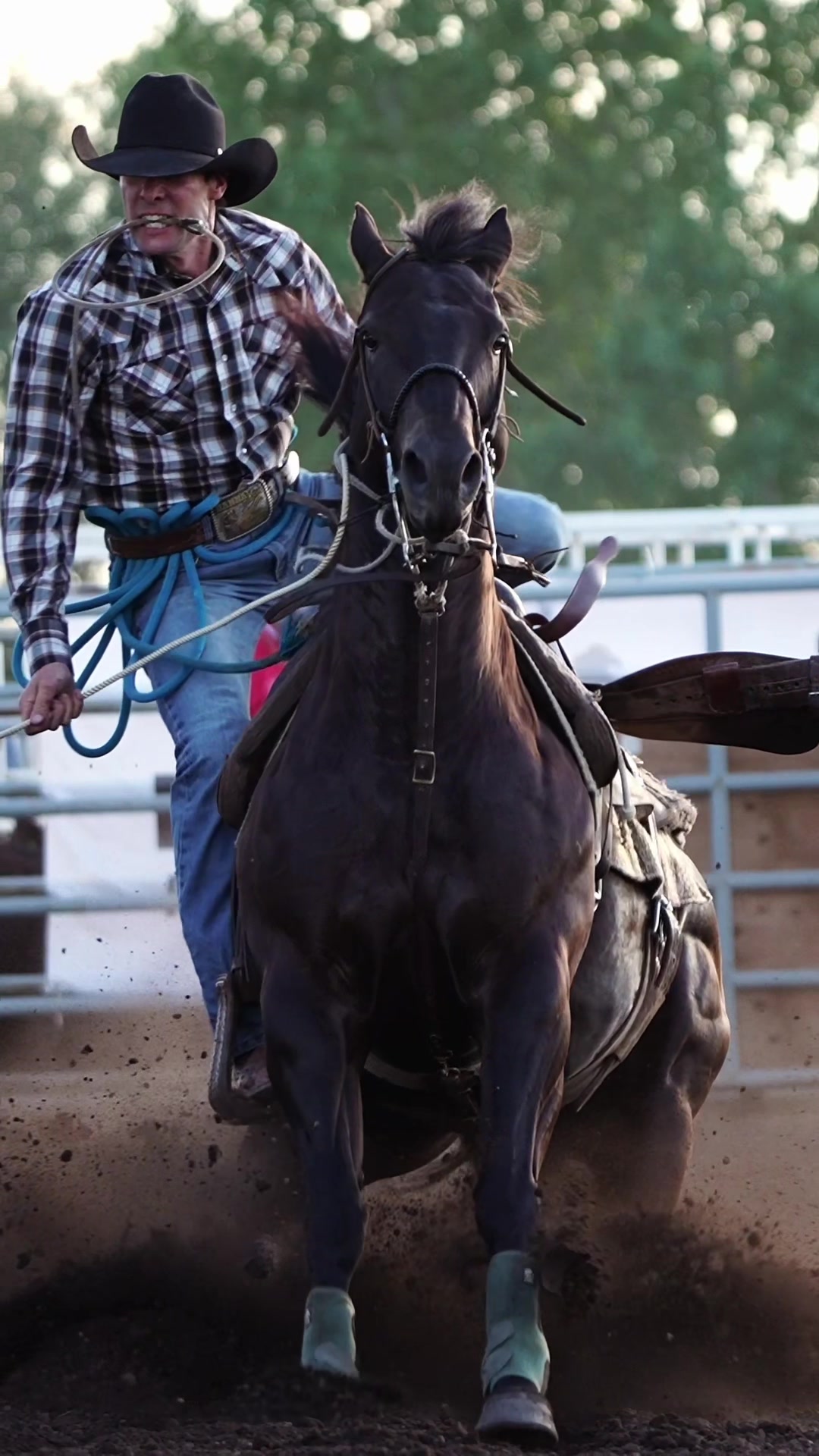 @Hanginghorses