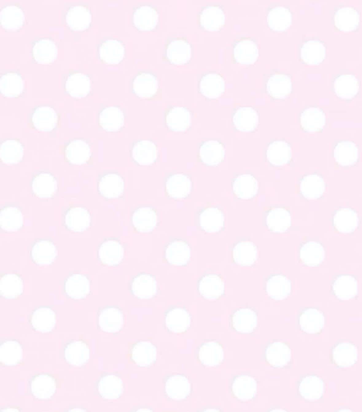 @꒰ঌ໒꒱ ˚₊ ℳ𝒾𝓈ℴ ₊˚🪽ෆ