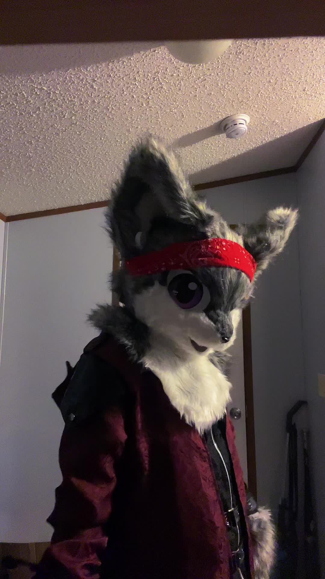@karai_WolfDragon23