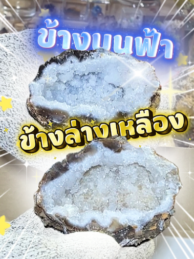 @Abo.Plus