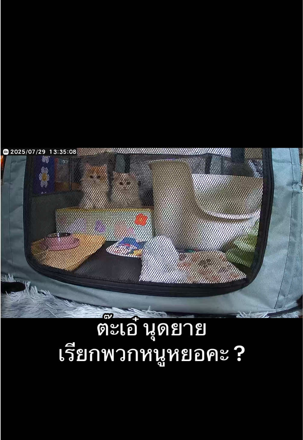 @เยอร์เก้นอยากเป็นดารา