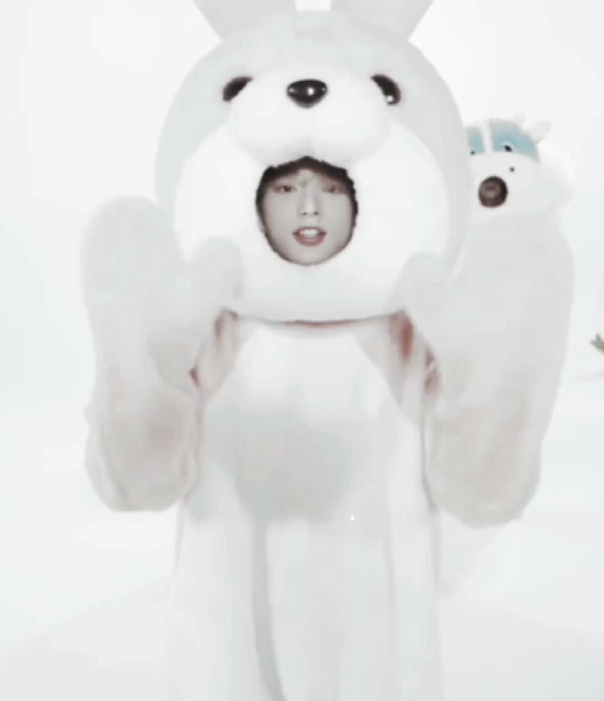 @jaz𑣲⋆