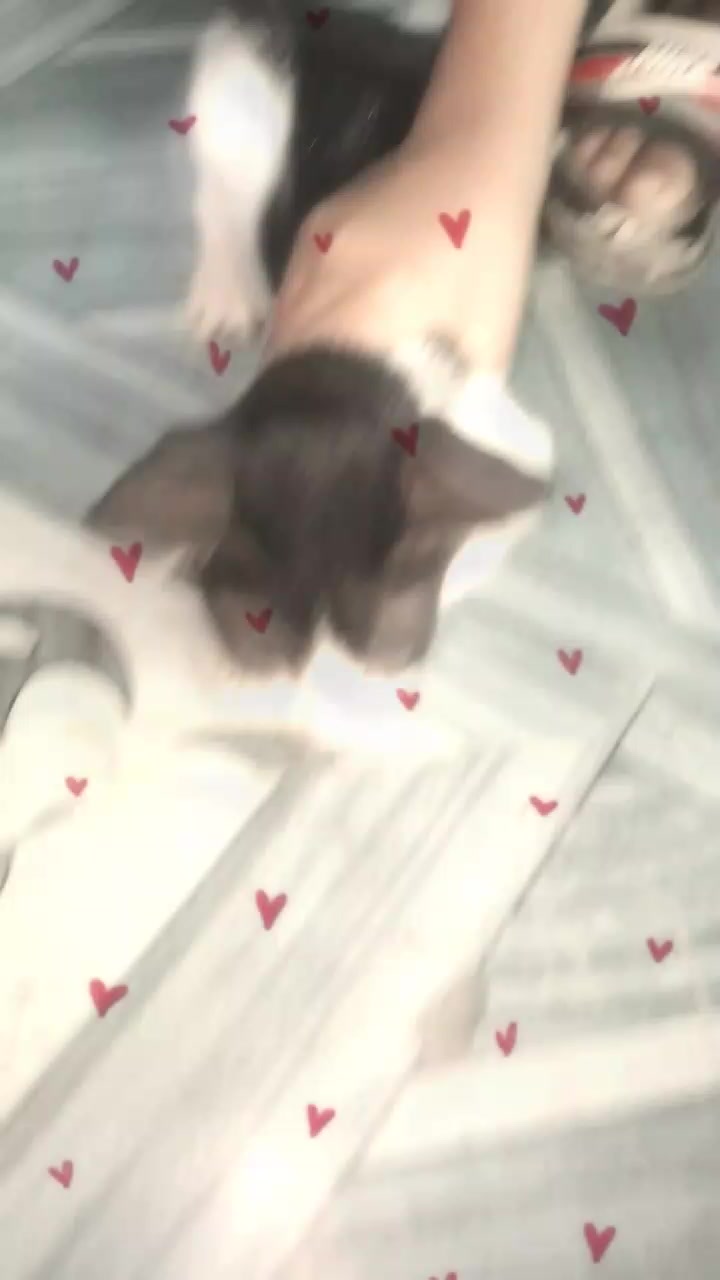 @🥰🥰Maya😍😍