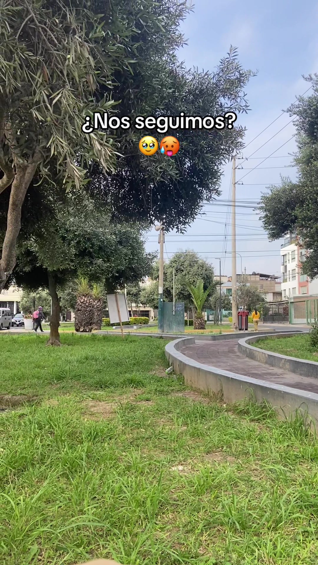 @impulso_seguidores1