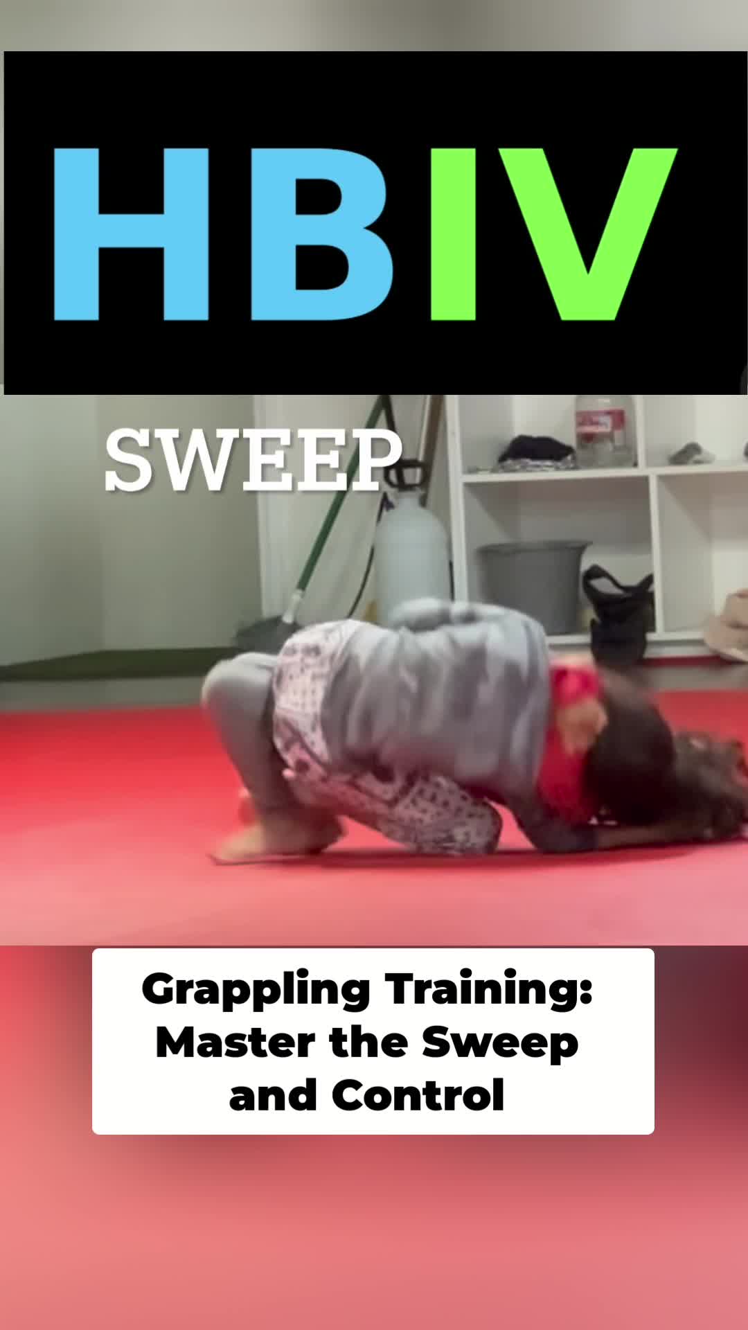 @HBIVthesamurai