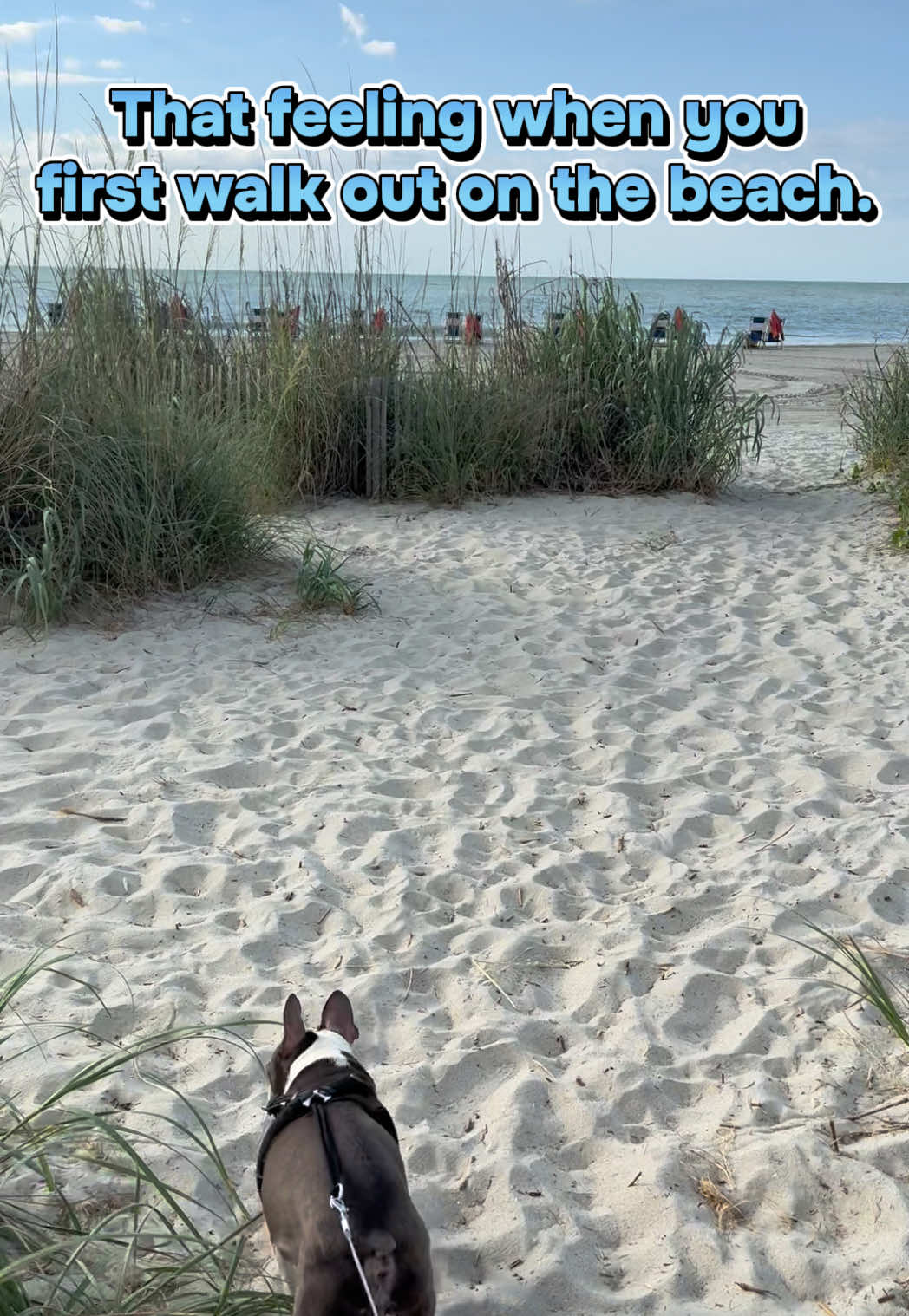 @Hugo_the_Frenchton