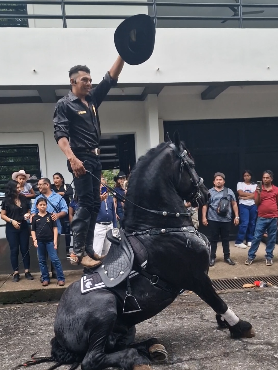 @🇸🇻Josséph Torres🇸🇻