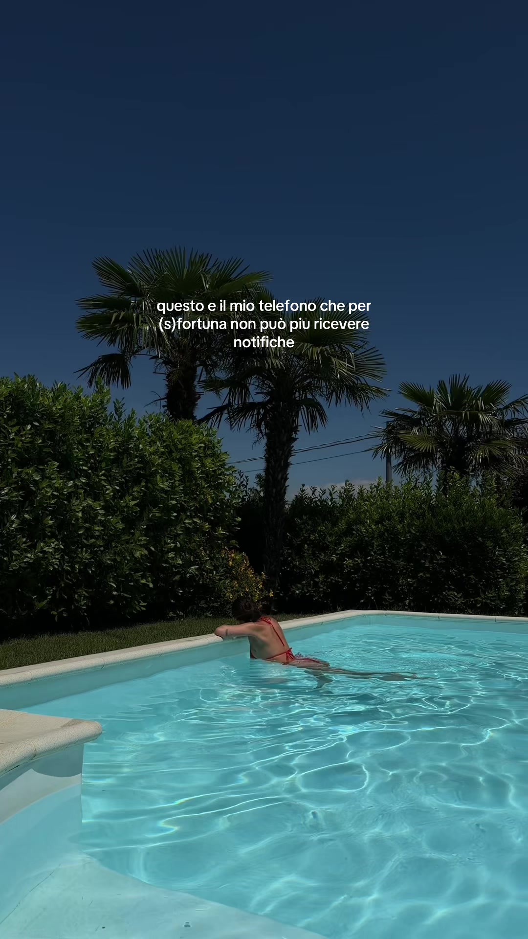 @federica gibellini