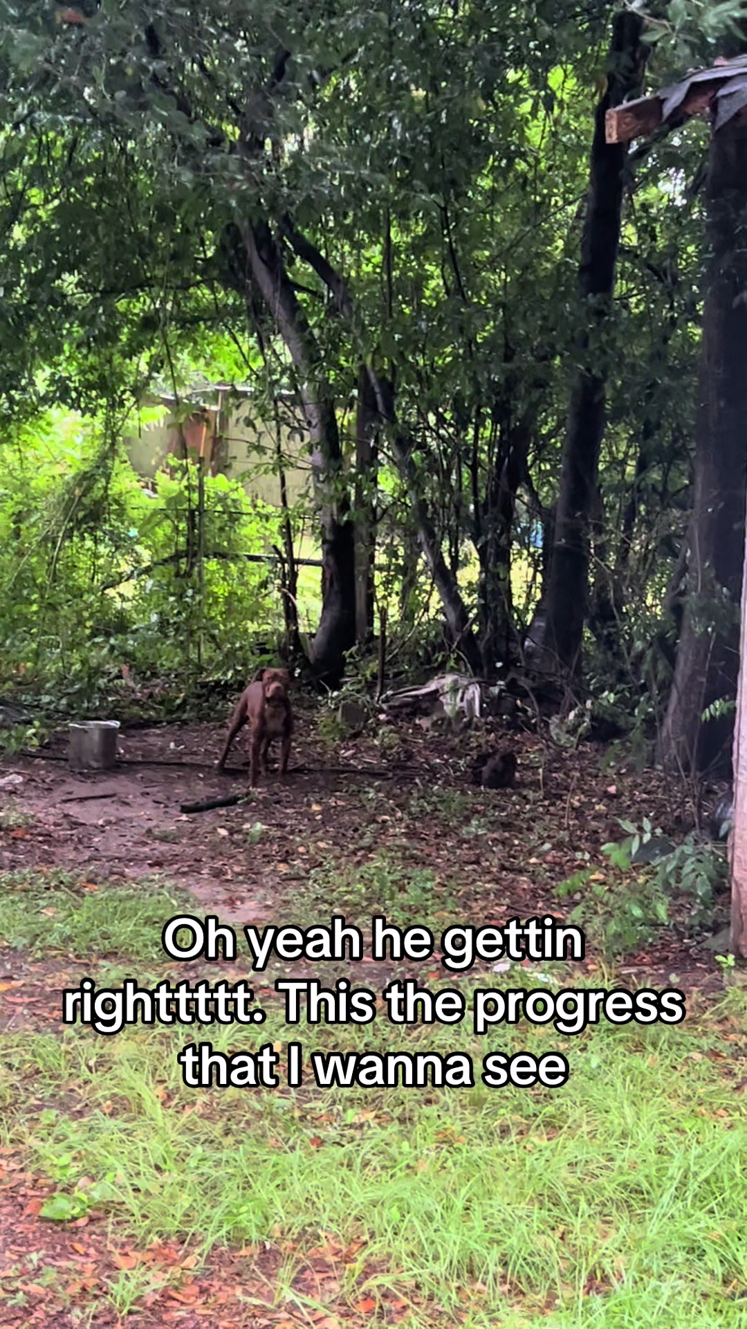 @kamwithapbt