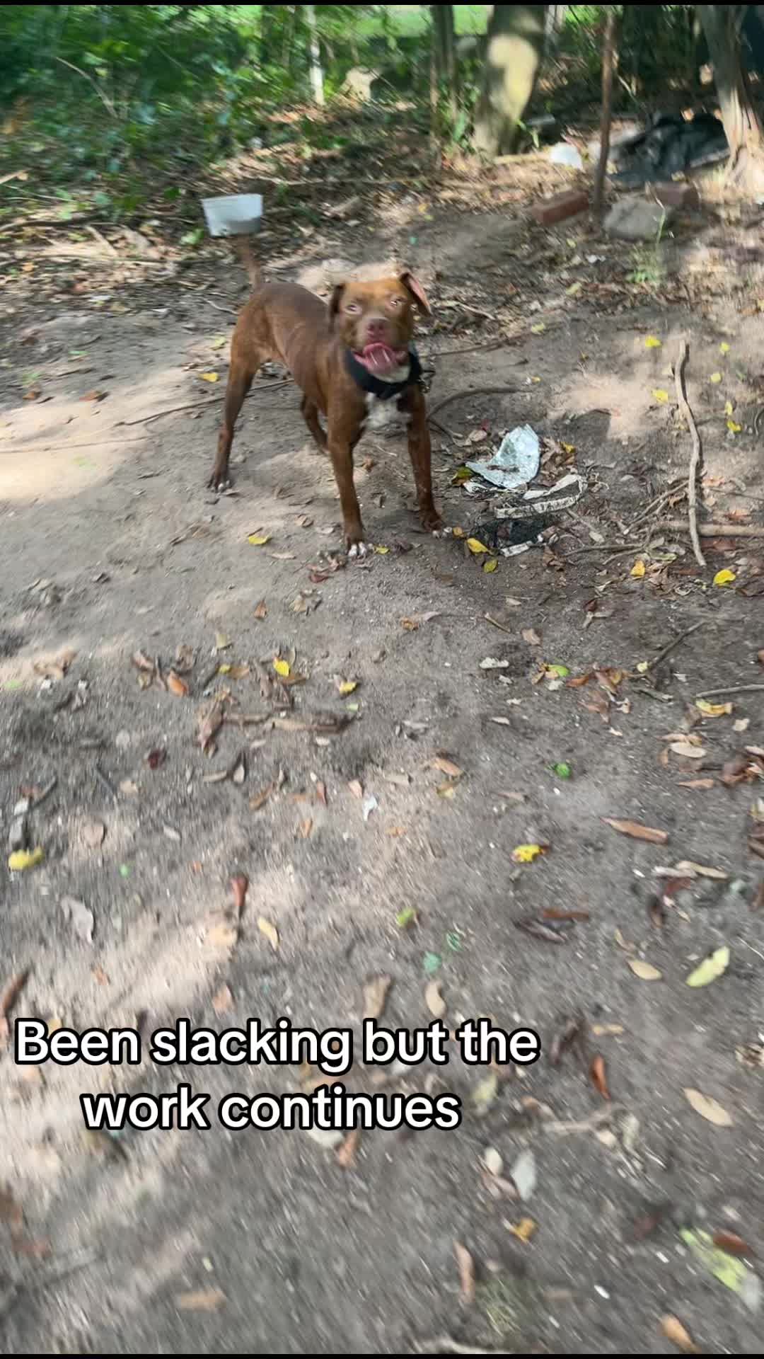 @kamwithapbt