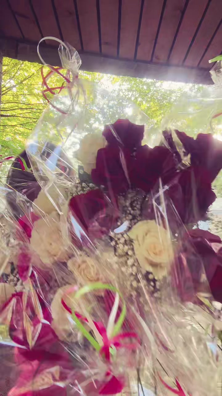 @tasnimbs_