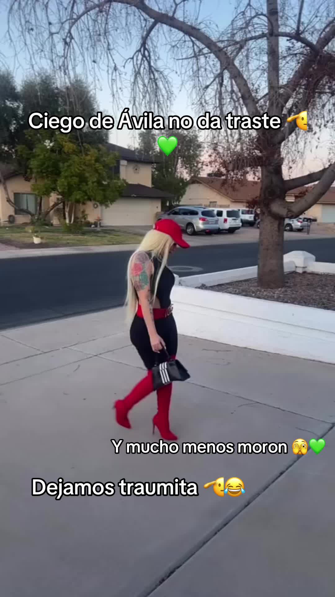 @๐๐ตla _bichota _yeni ๐ต๐
