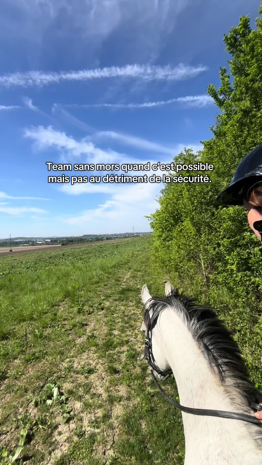 @Réflexions Equestres