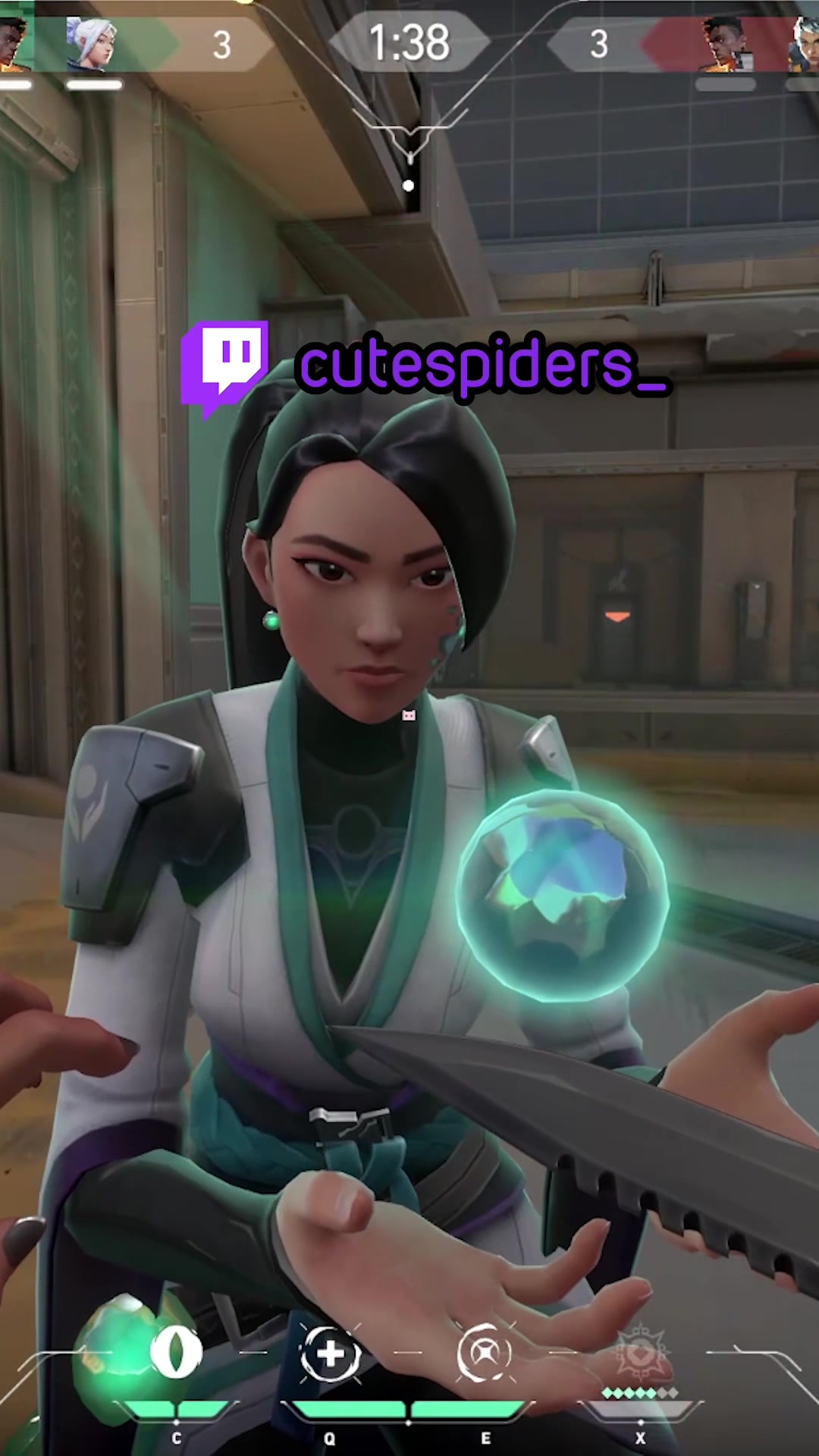 @cutespiders 🕷️🕸️