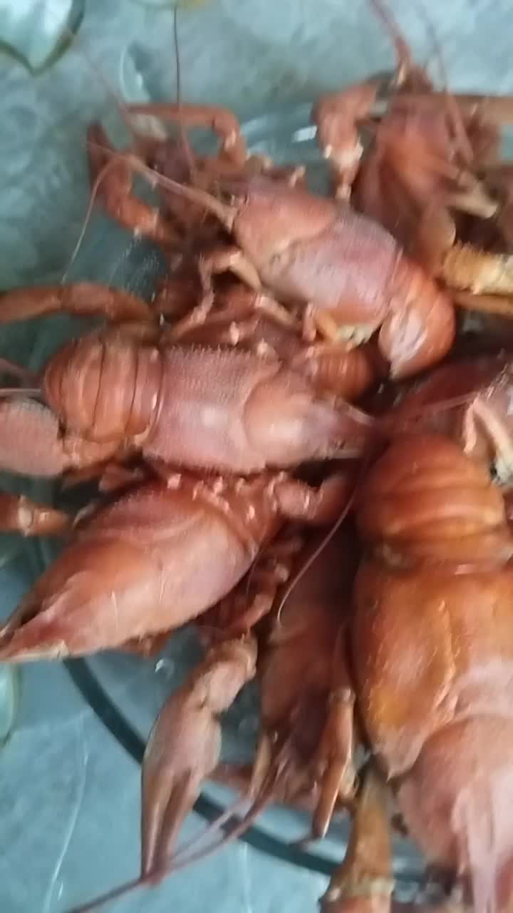 @❤️🔥 малая на похуях❤️🔥