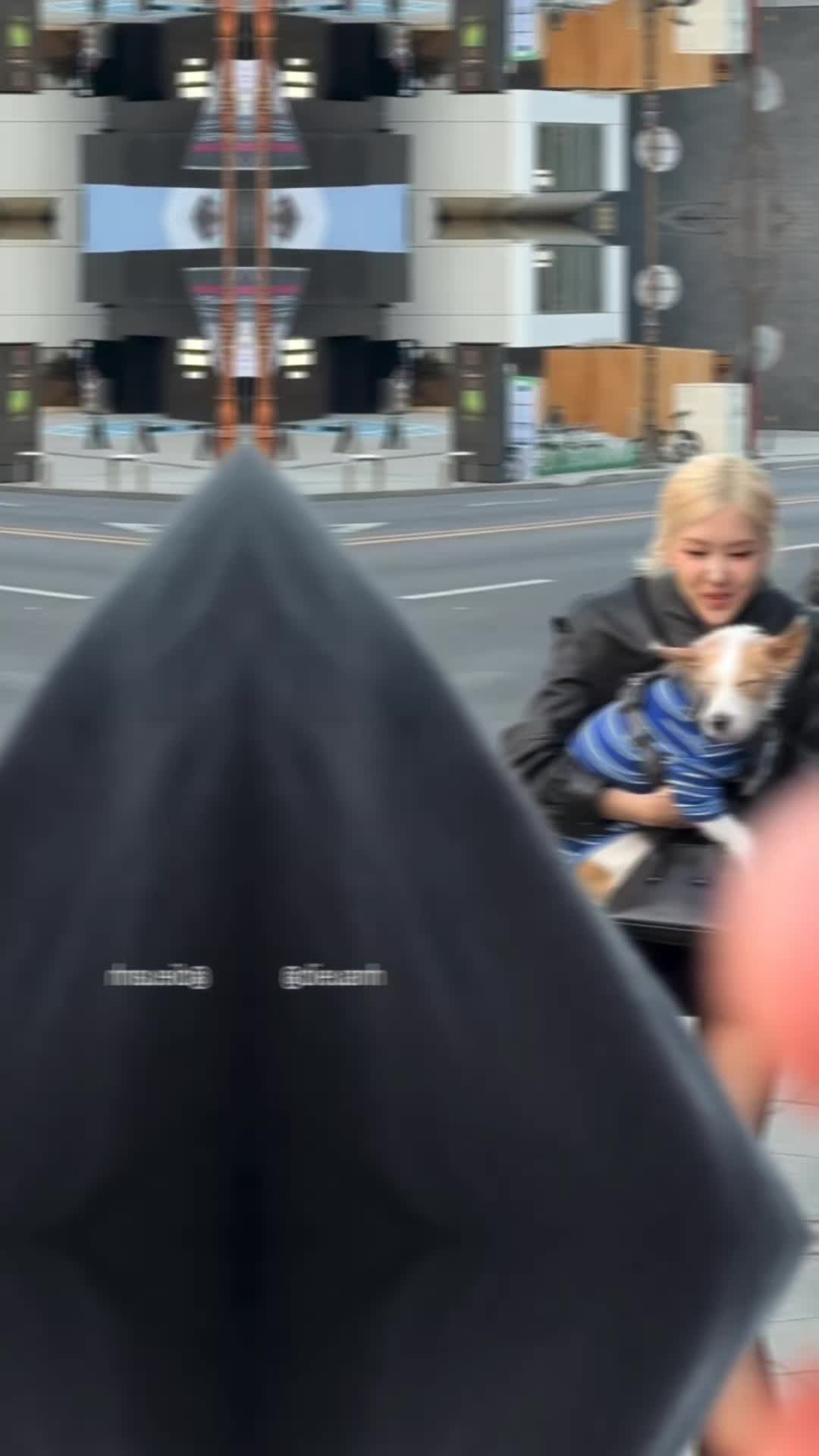 @RoseFancam