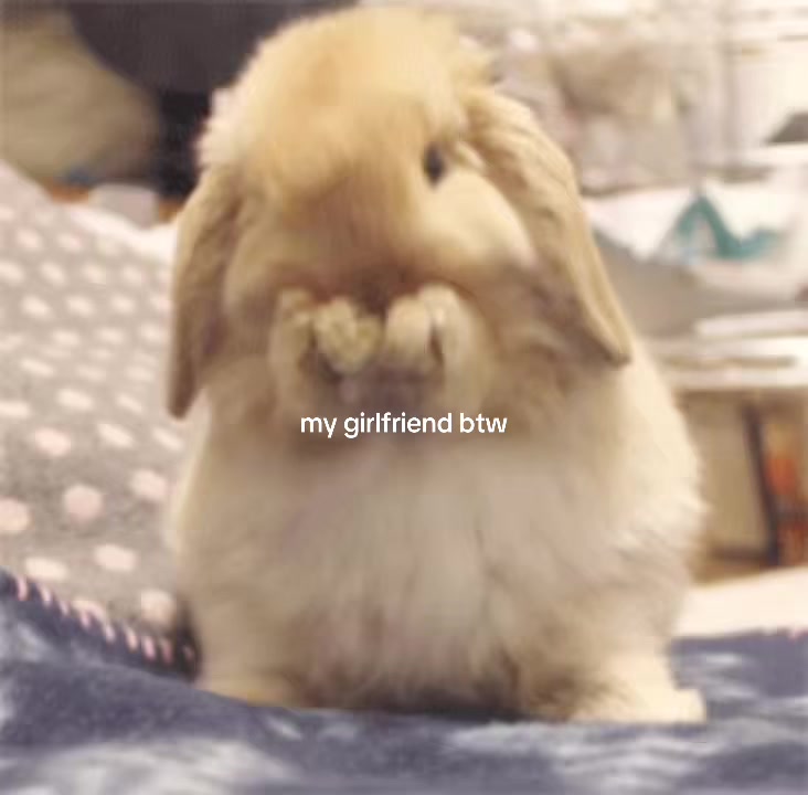@🪽