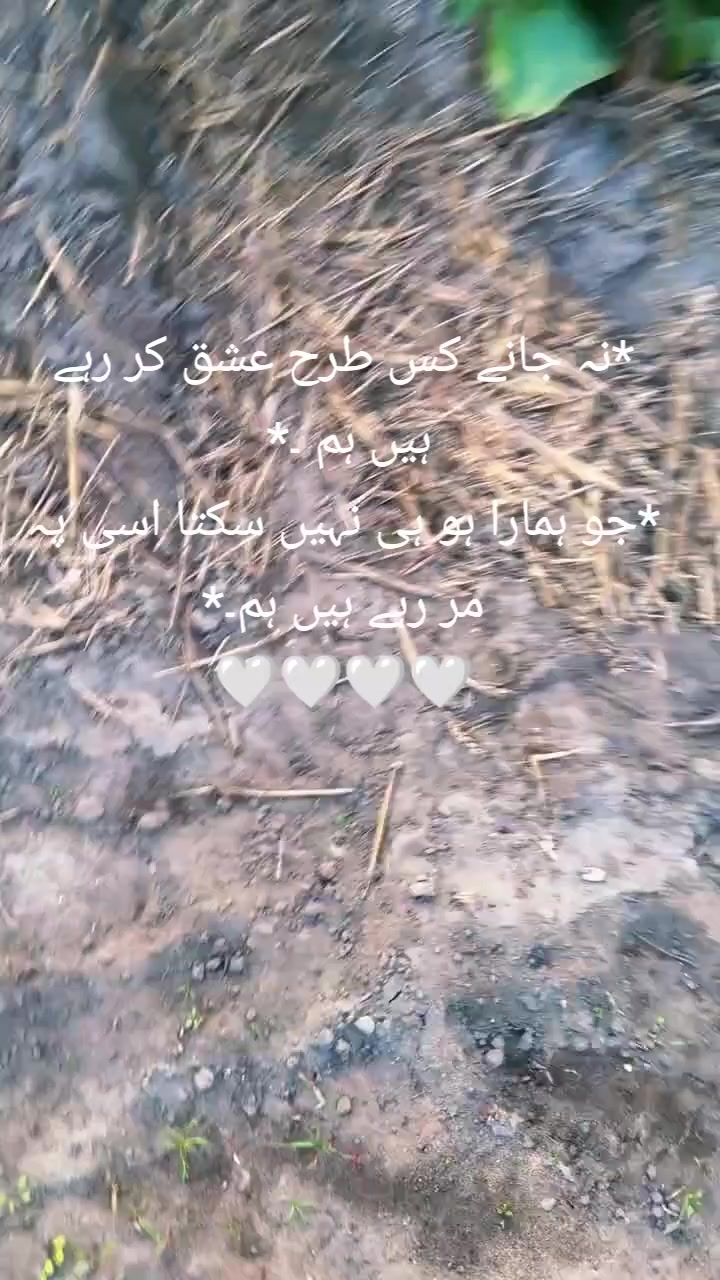 @ali Rajput