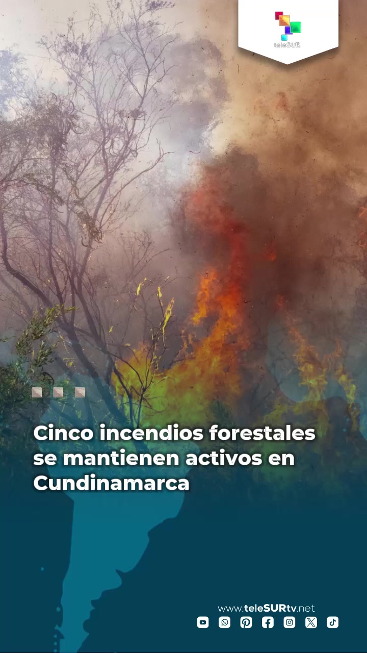 @teleSUR Clips