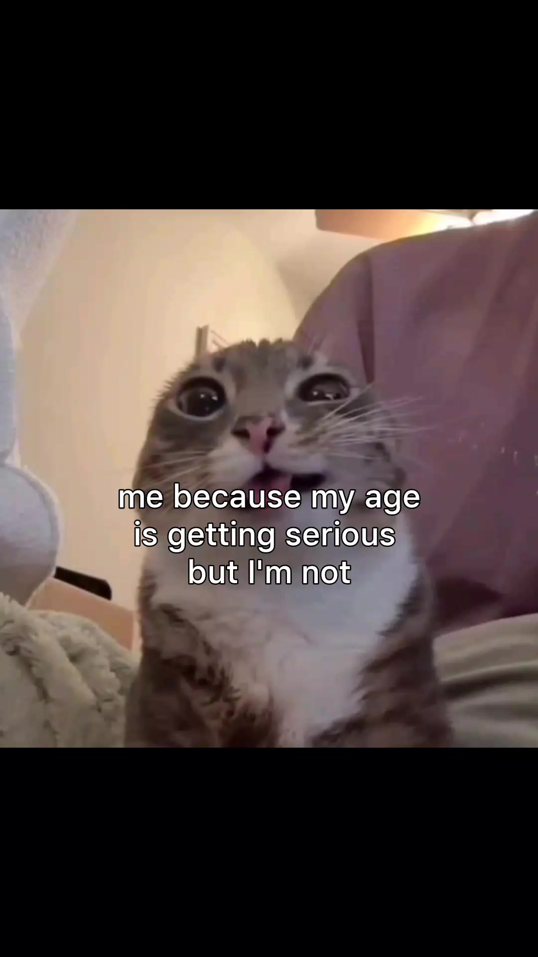 @Repost without music