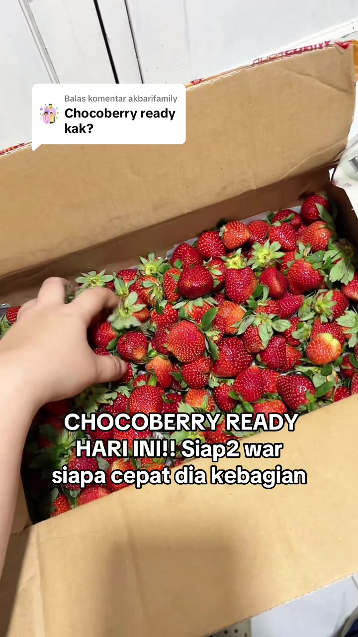 @SERBA BUAH PADANG