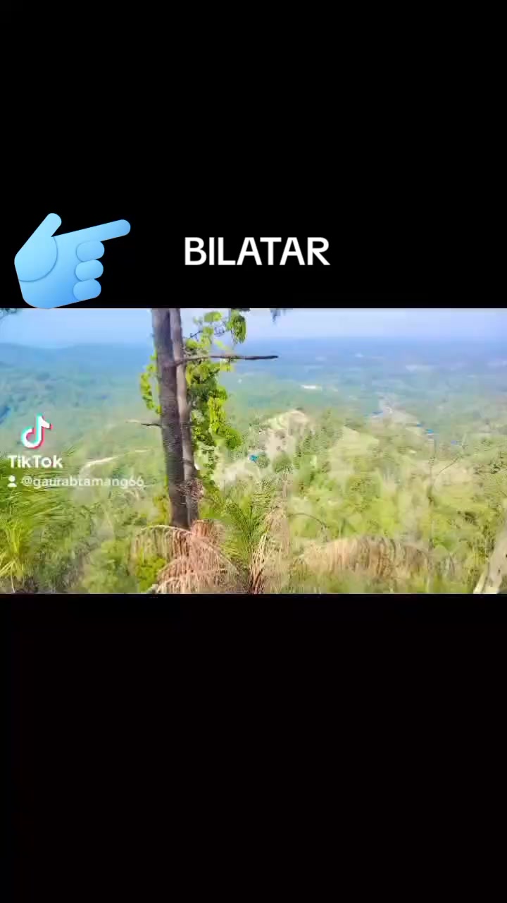 @DibasTamg