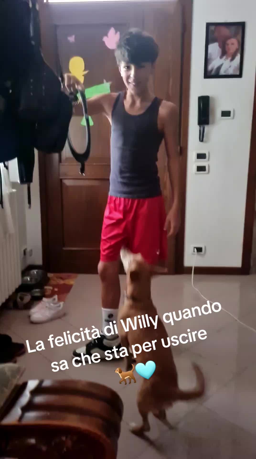 @Anna Gherghel