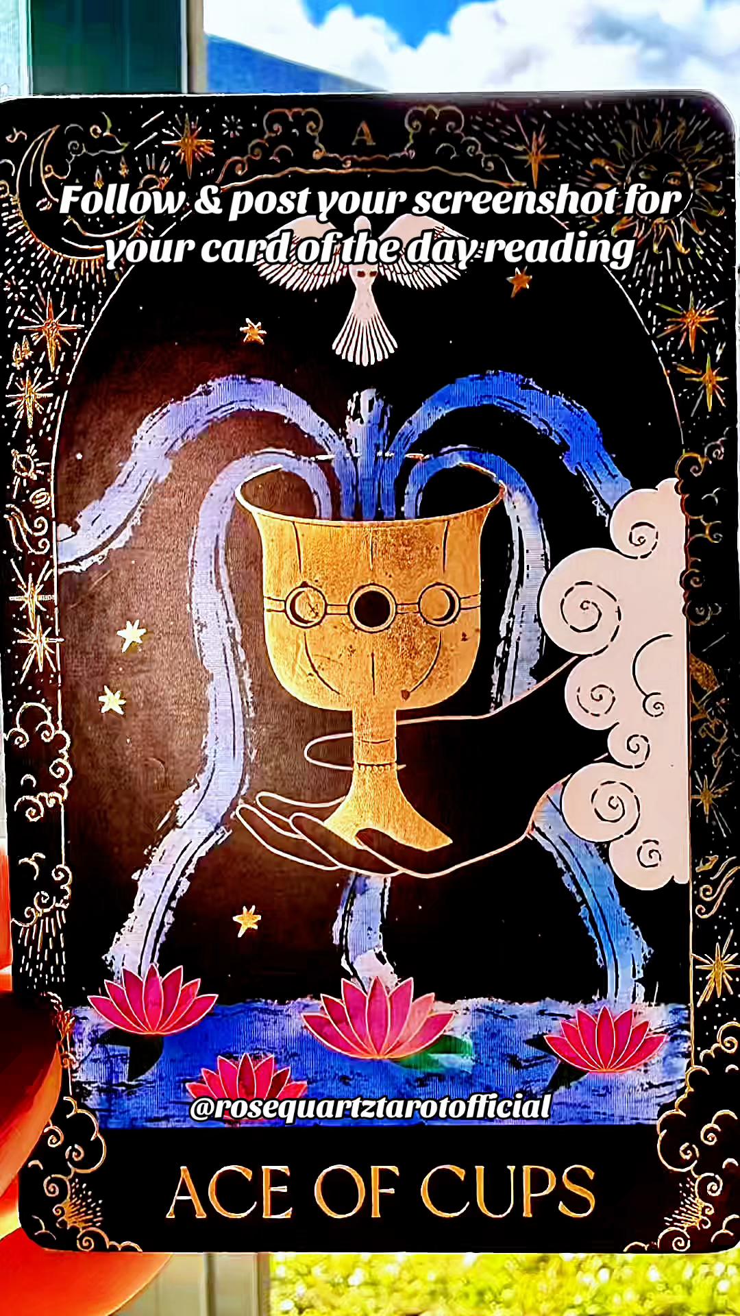 @Rosequartz Tarot (Official)